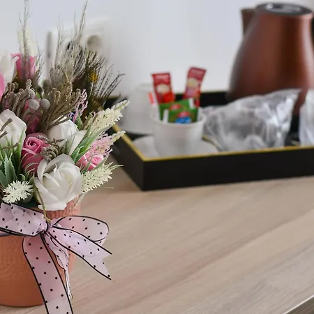 Casa Topaz Mamaia Nord Guest house *